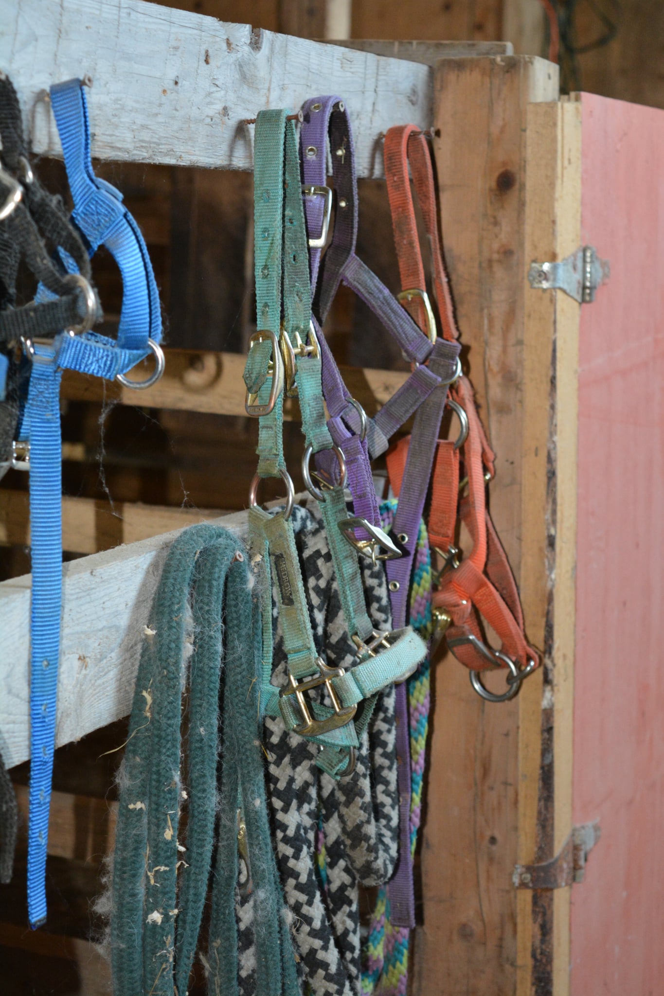 Équipement de manipulation des animaux